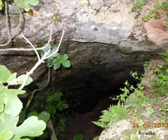 Photograph of DONA MORTA, BABORELL DE LA (3 of 12)