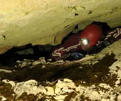 Photographie de FONT, COVA DE LA (4 sur 11)