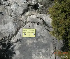 Photographie de VAQUERES,  GRALLER DE LES (1 sur 6)