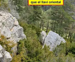 Fotografia de CORRUBÍ, ESCLETXA GRAN DE (3 de 4)