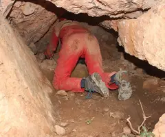Fotografia de OMO, COVA (2 de 3)
