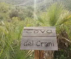 Photographie de CRANI, COVA DEL (1 sur 4)