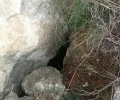 Fotografia de CUNETA, COVES DE LA (2 de 4)