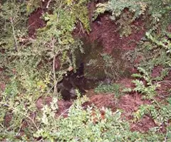 Fotografía de CHUSA, FORAT DE (1 de 1)