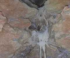 Fotografía de BADIÀ, GRALLER DE (9 de 11)