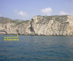 Fotografía de FALCONERA, LA (1 de 3)