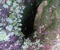 Fotografia de FONT FREDA, AVENC DE LA (2 de 2)