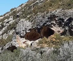 Fotografia de ANTONA, COVES D' (8 de 17)