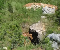 Fotografia de ALZINES, ESQUERDA PETITA DE LES (2 de 2)