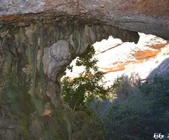 Fotografia de POTAU, COVA DEL (5 de 5)