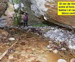 Photographie de MOLOSA, BALMA (5 sur 6)