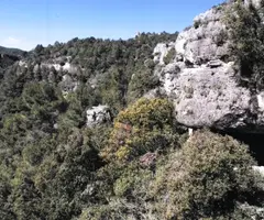 Fotografía de BULDÓ, COVA DEL (1 de 1)