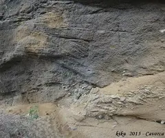 Fotografia de CAVORQUES, LES (4 de 13)