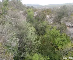 Fotografia de MOTLLATS DE LA PONA, AVENCOTS DELS (1 de 6)