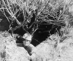Photographie de FIGUERA, AVENC DE LA (2 sur 10)