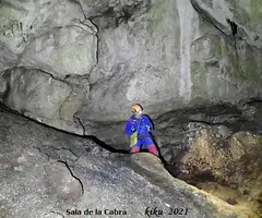 Fotografia de PEIXET, COVA D'EN (14 de 35)