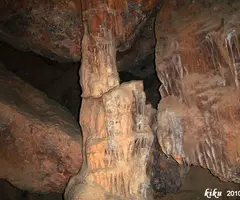 Photographie de FREDA, COVA (7 sur 8)