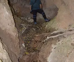 Photographie de FONT DELS CAPELLANS, COVA DE LA (4 sur 6)