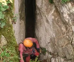 Photograph of PARDINA, GRALLER Nº3 DE LA (3 of 6)