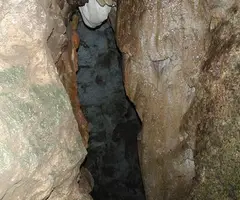 Fotografía de ALSAMORA, GRALLERA PETITA D' (4 de 6)