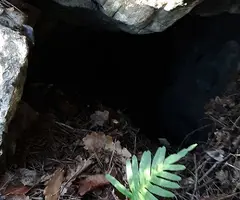 Fotografia de SERRA DEL MAS, AVENC SM-13 DE LA (1 de 7)