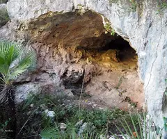 Fotografia de BASSIOL, COVA DEL (2 de 6)