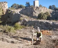 Fotografía de TORRE DEL TELÈGRAF, AVENC DE LA (1 de 3)