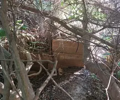 Fotografia de ULLALS DE LA CARROVA, COVA DELS (1 de 6)