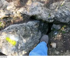 Fotografia de DESFETA, AVENCS DE LA (1 de 5)