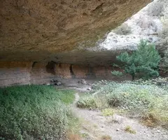 Fotografía de TEIX, COVA DEL (1 de 1)