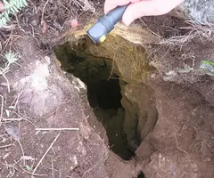 Fotografia de CAMINS DE TERRA, AVENC DE (3 de 8)