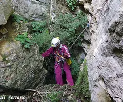 Fotografia de PARDINA, GRALLER Nº2 DE LA (3 de 9)