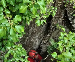 Fotografía de MAS DE LES FONTS, ESQUERDA Nº 7 DEL (3 de 3)