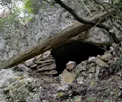 Fotografia de PIGOTOSA, COVA (1 de 4)