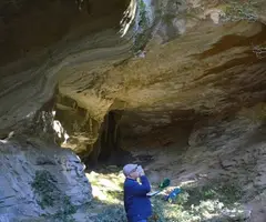 Photograph of BACONERES, CAVORCA 2 DE LES (3 of 3)