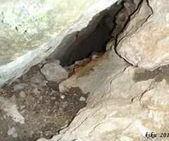 Photograph of PRIMERS, AVENC DELS (3 of 3)