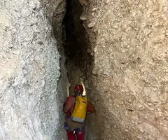 Fotografia de PEPET, BÒFIA D'EN (4 de 8)