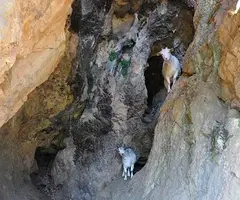 Fotografia de FRESCA, COVA (2 de 3)