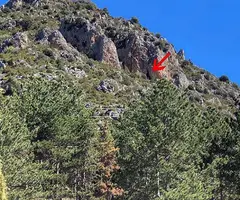 Fotografía de ALTA DE PRULLANS, COVA (1 de 3)