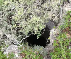 Fotografía de CELLER DEL FUSTER, COVA AVENC DEL (3 de 4)