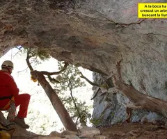 Fotografia de PENJADA DEL TORRENT D'ESPINAU, COVA (2 de 4)