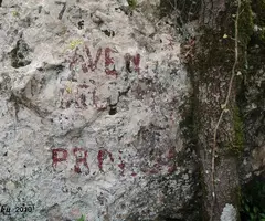 Fotografia de TEIX, AVENC DEL (1 de 2)