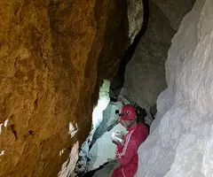 Fotografia de CINGLE DELS PINS ALTS, COVA DEL (6 de 8)