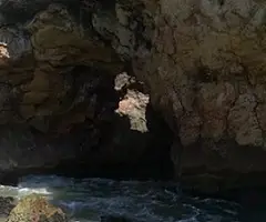 Fotografía de SAVINOSA, COVA DE LA (7 de 7)