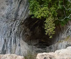 Fotografia de BOUS, COVA DELS (2 de 2)