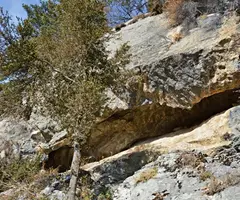 Photograph of COT, BAUMES DE LA (4 of 4)