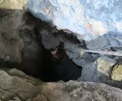 Fotografia de PUJADOR DEL PI, AVENC DEL (3 de 11)