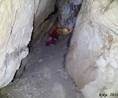 Fotografia de MATA, COVA D'EN (7 de 13)