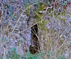 Fotografía de TOIXÓ, COVA DEL (1 de 1)