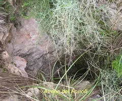 Fotografía de FONOLL, AVENC DEL (2 de 2)